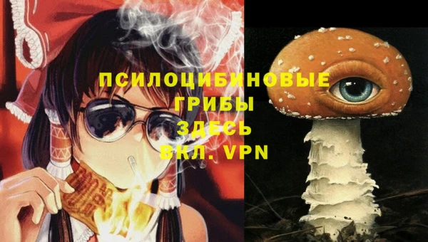ПСИЛОЦИБИНОВЫЕ ГРИБЫ Балахна