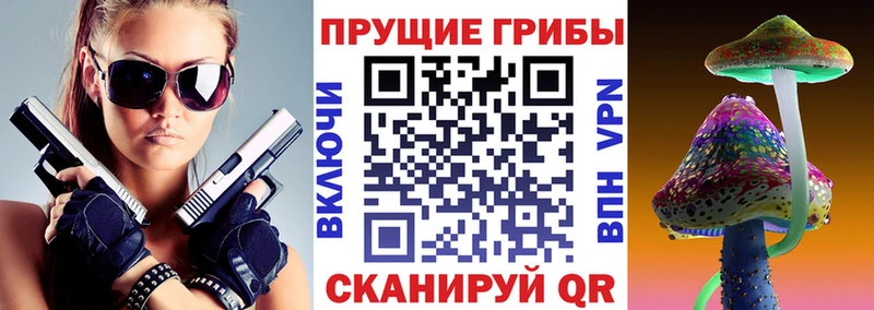Псилоцибиновые грибы Psilocybe  Верхоянск 